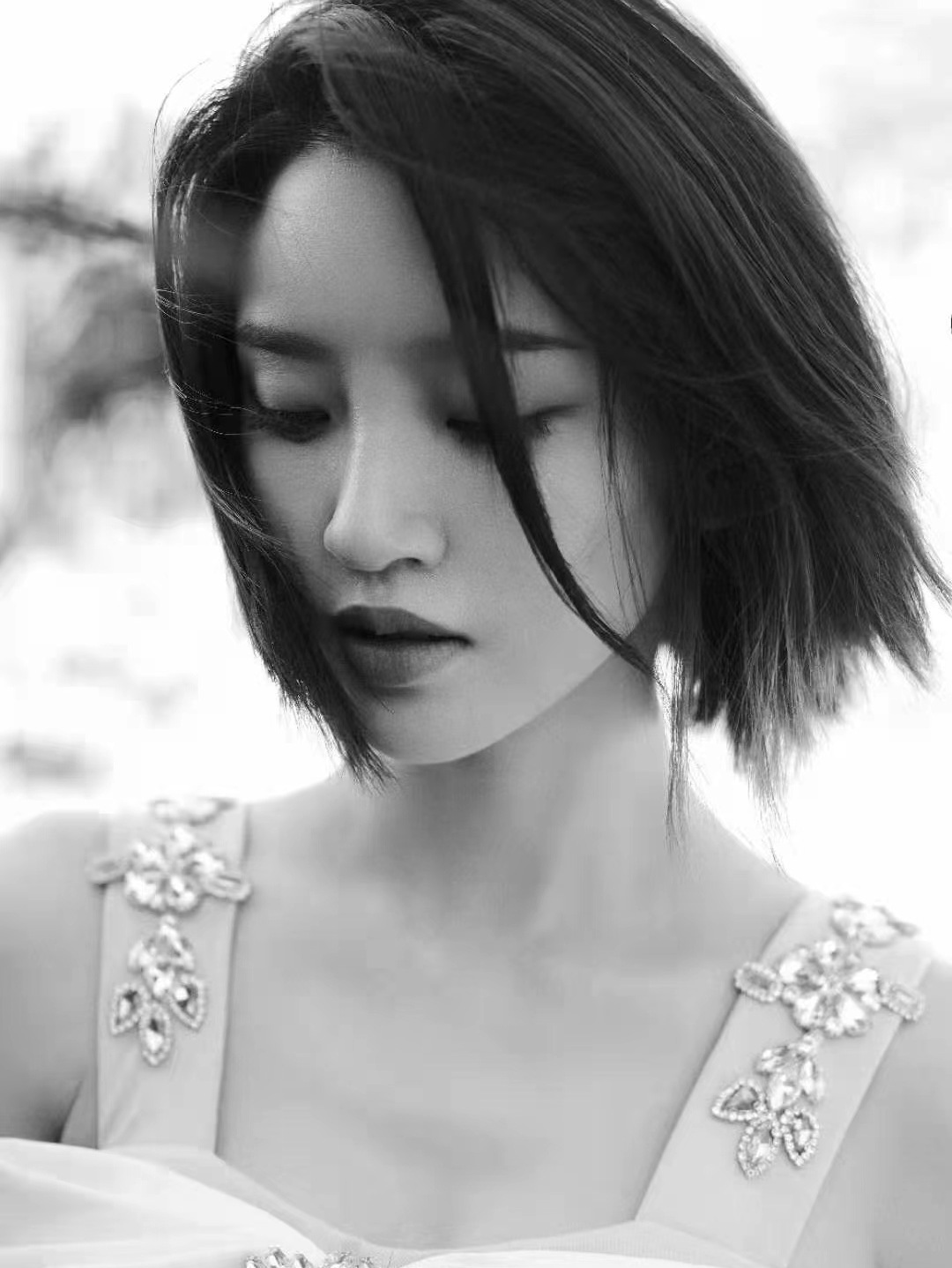 唐艺昕厦门行笑容治愈植物园拍照