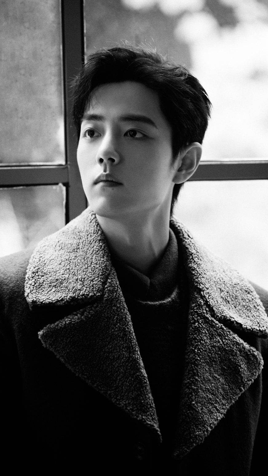 肖战秋意浓大片充满温柔与质感