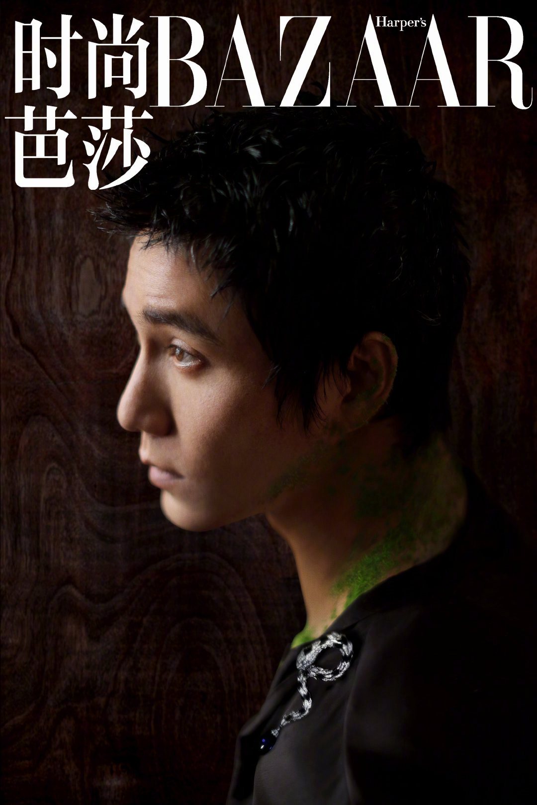 李冰冰陈坤气场十足芭莎合体封面高清照片