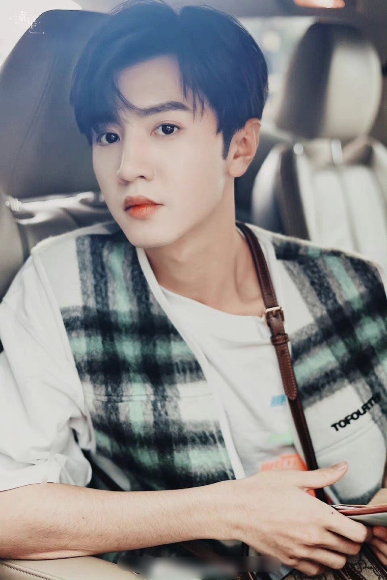 陈哲远录制快本绿色格纹马甲清新帅气照片