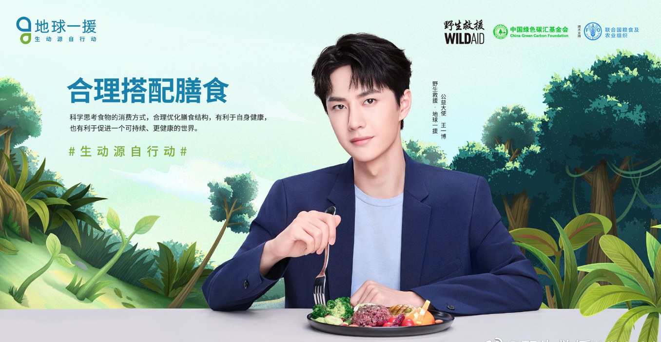 郎朗黄轩杨紫王一博野生救援公益大使海报