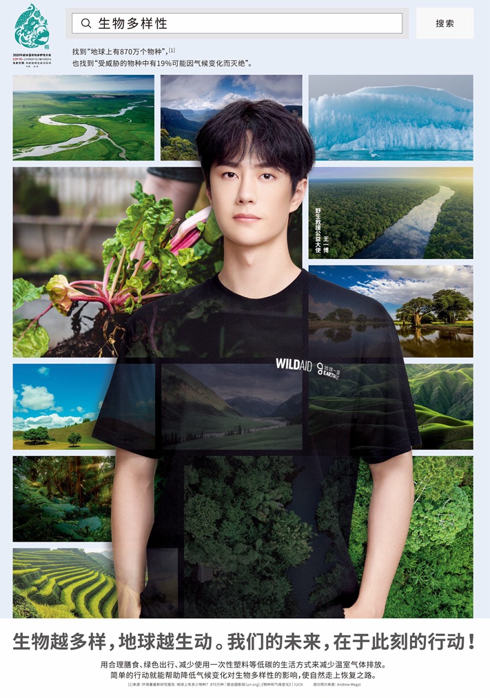 郎朗黄轩杨紫王一博野生救援公益大使海报