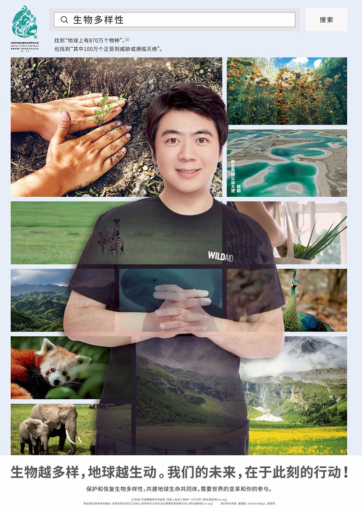 郎朗黄轩杨紫王一博野生救援公益大使海报