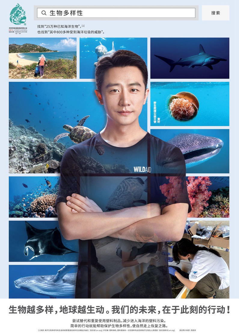 郎朗黄轩杨紫王一博野生救援公益大使海报