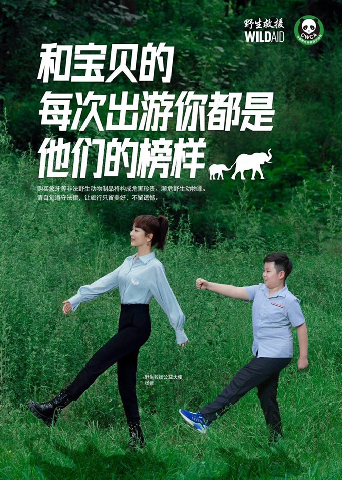 郎朗黄轩杨紫王一博野生救援公益大使海报