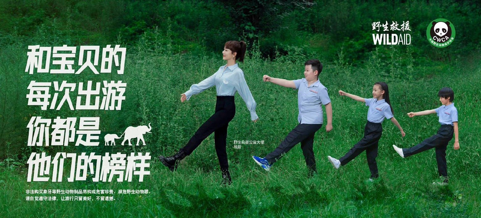 郎朗黄轩杨紫王一博野生救援公益大使海报