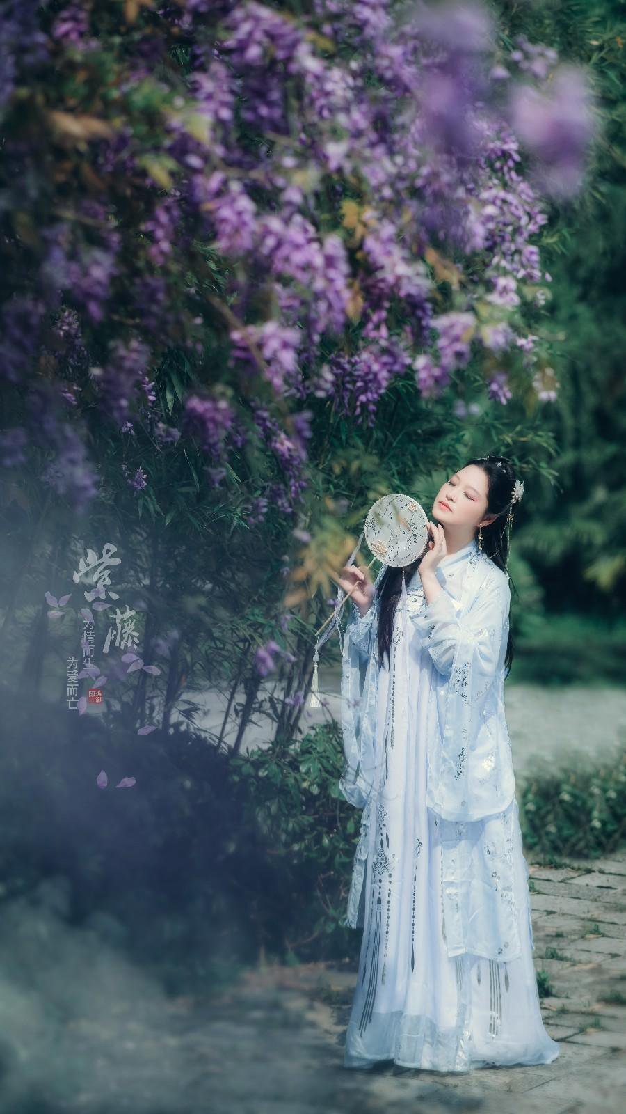 紫藤花下古装美女仙气飘飘图片