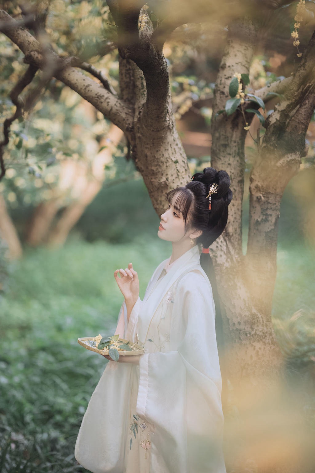 古装美女花容月貌清新脱俗图片