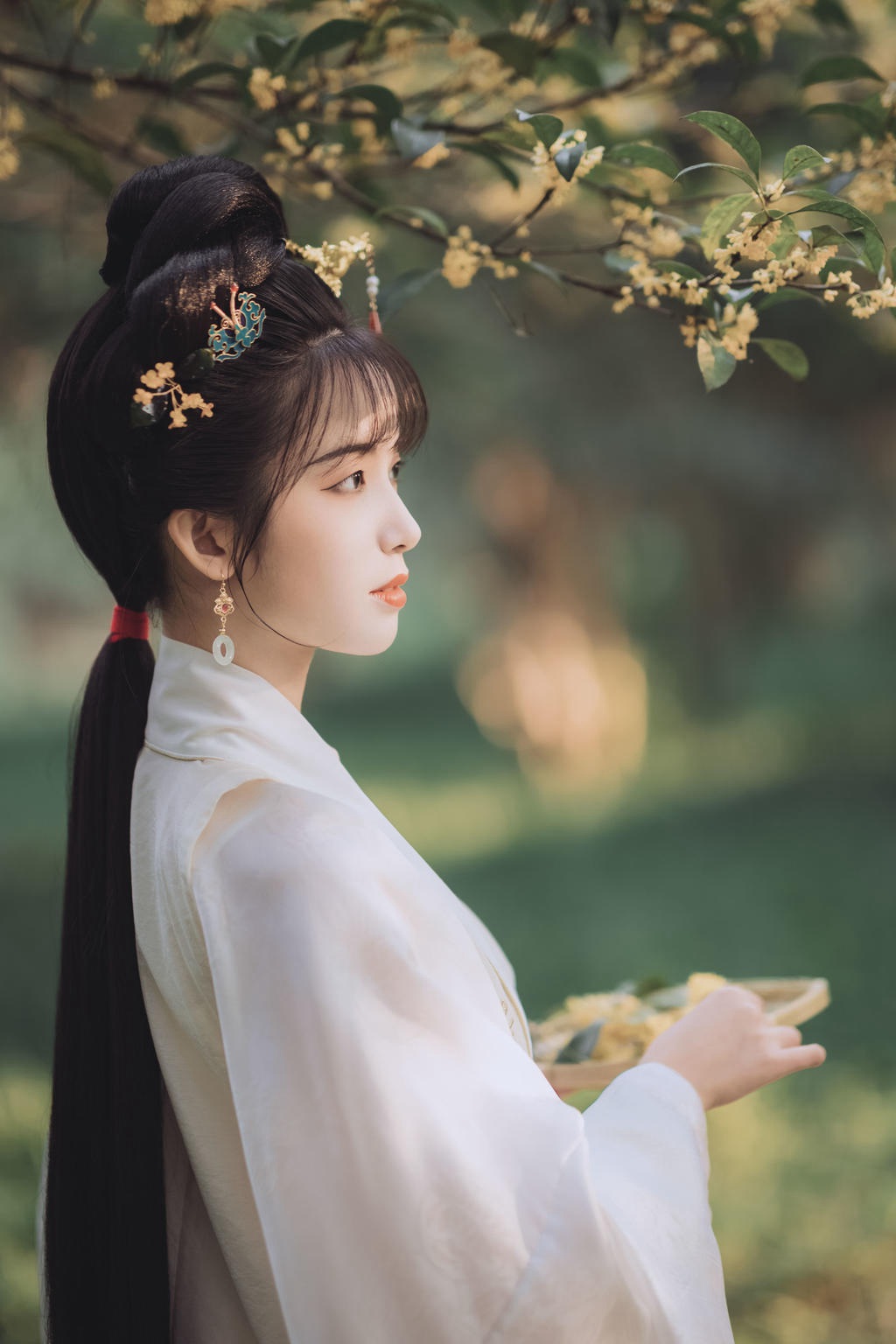 古装美女花容月貌清新脱俗图片