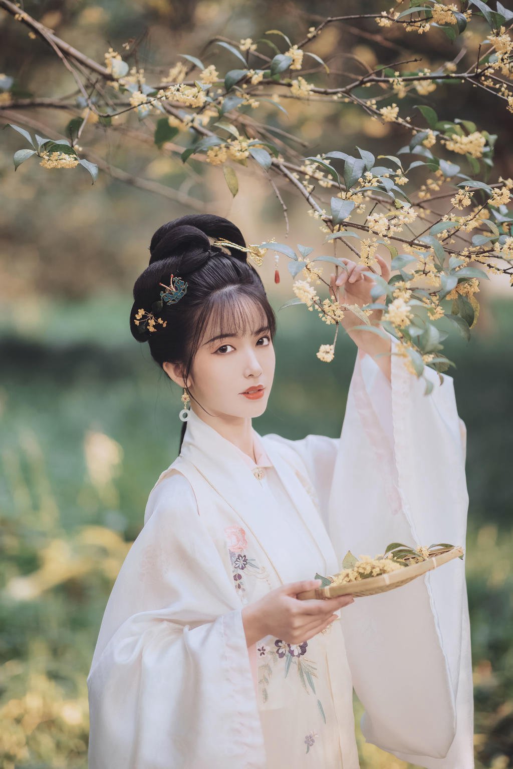 古装美女花容月貌清新脱俗图片