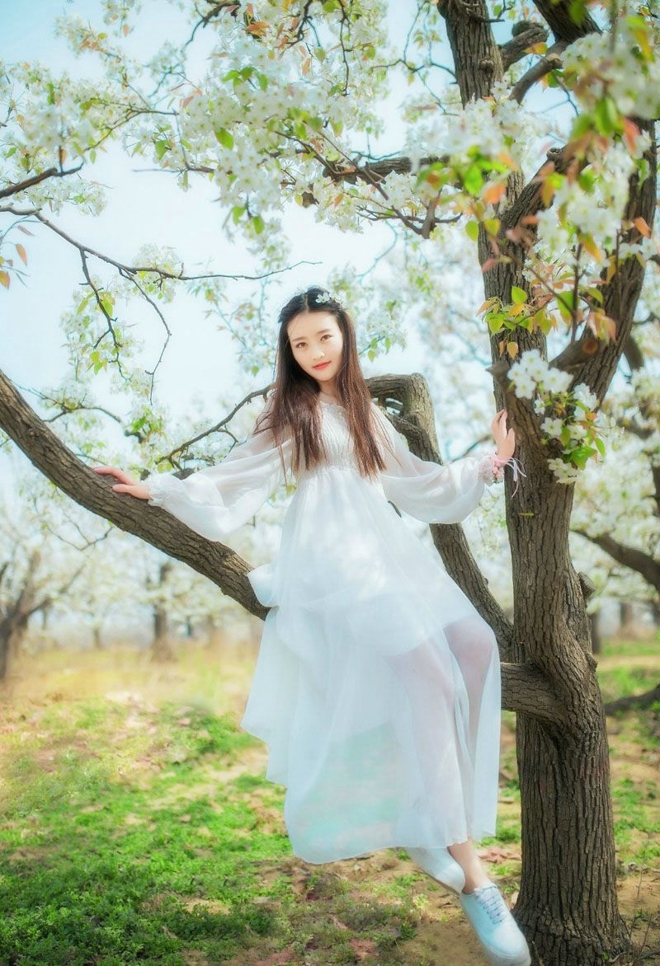 长发美女樱花树下唯美动人写真