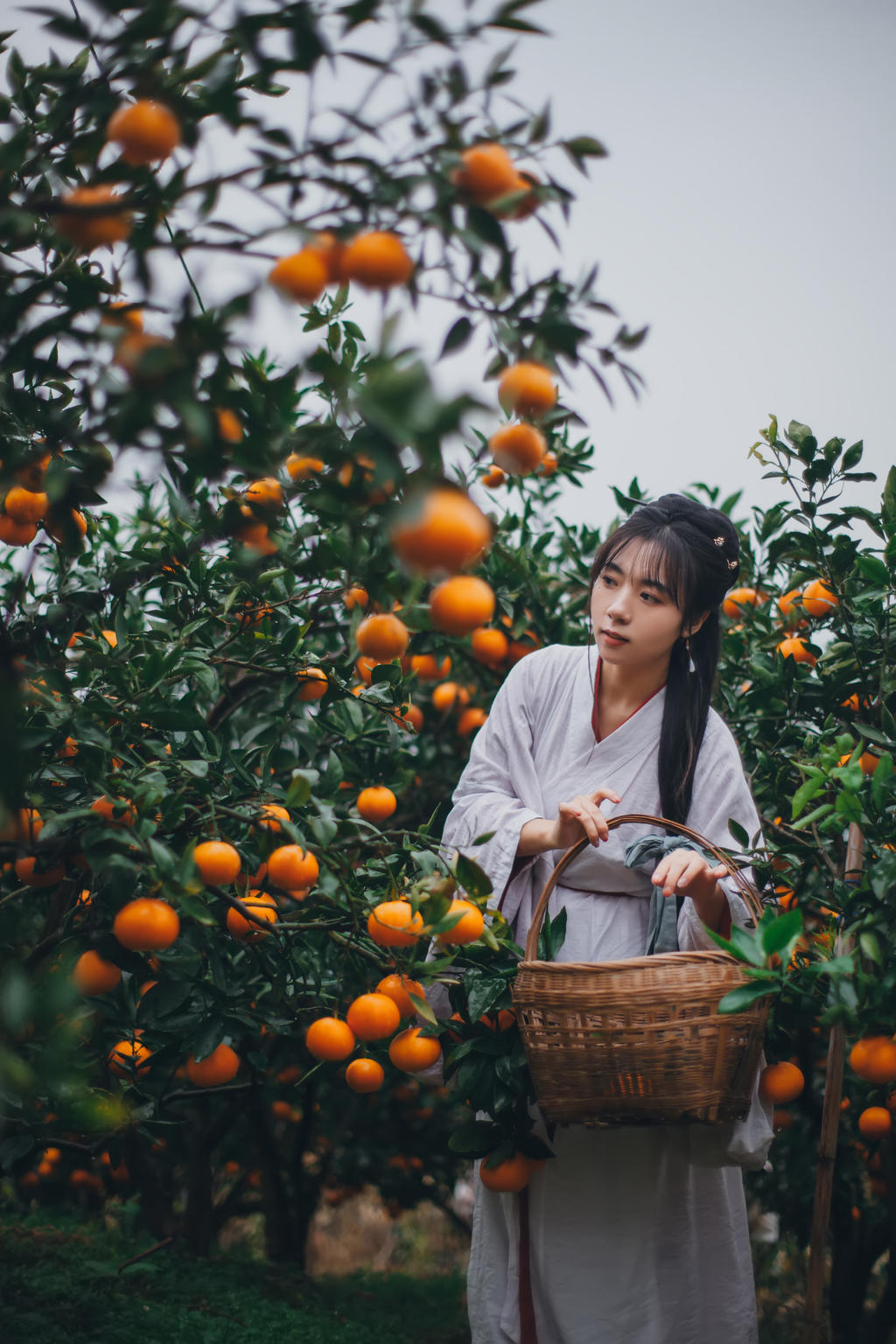 果园里的古装美女清新脱俗图片