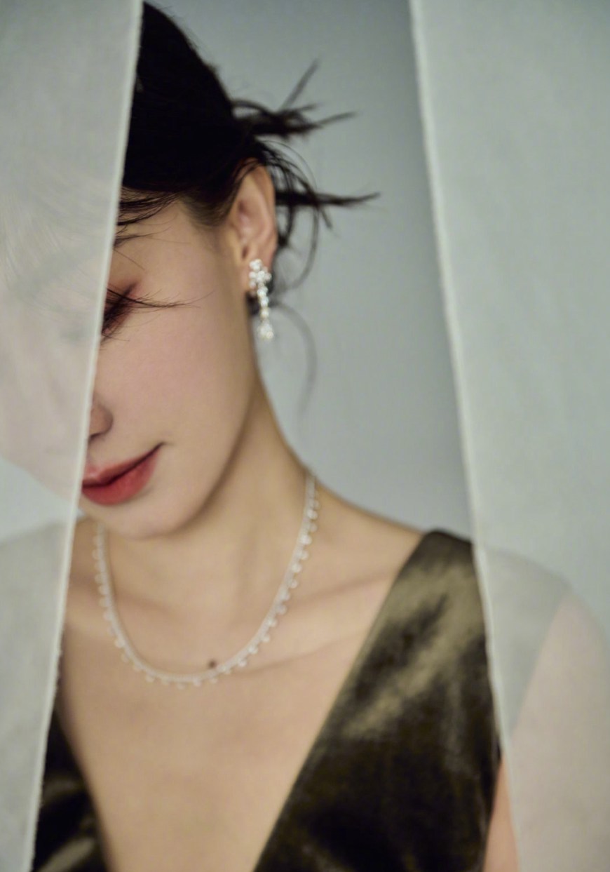 张小斐的礼服上绣的是大观园吗？张小斐金鸡奖古典韵味造型写真