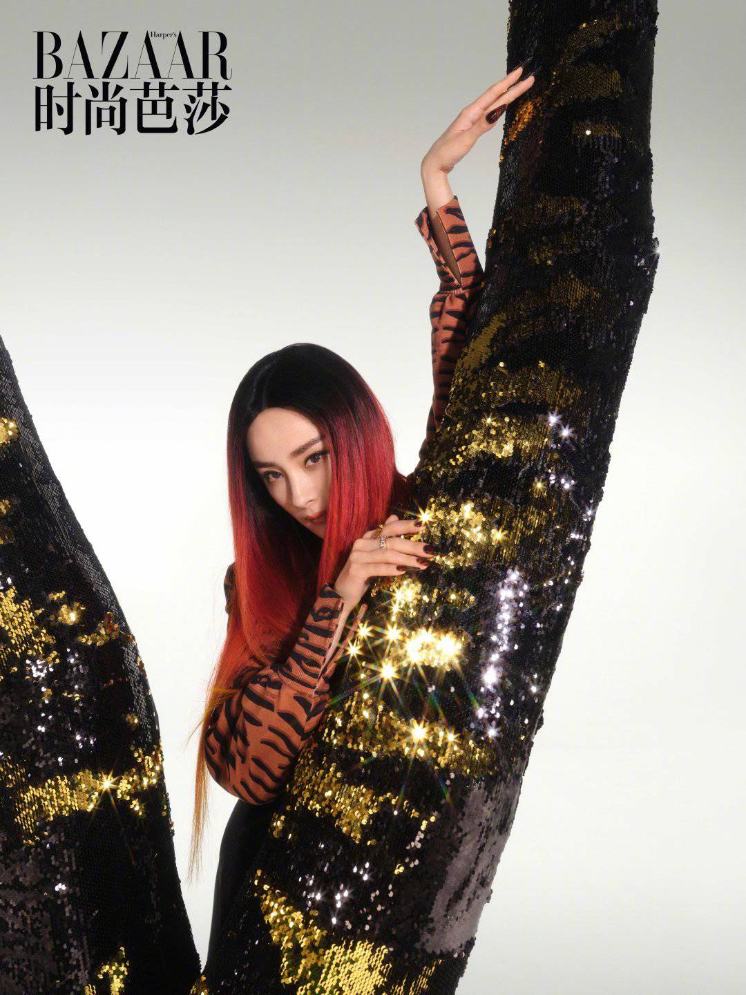 杨幂虎纹造型又美又飒时尚写真