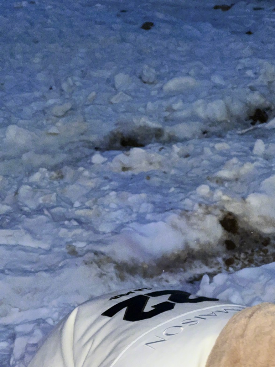 虞书欣雪地13宫格随拍元气又可爱照片