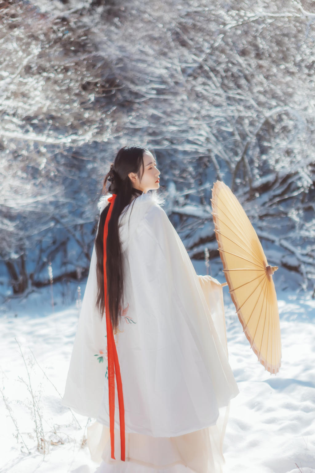 雪地里的汉服美女清新脱俗图片