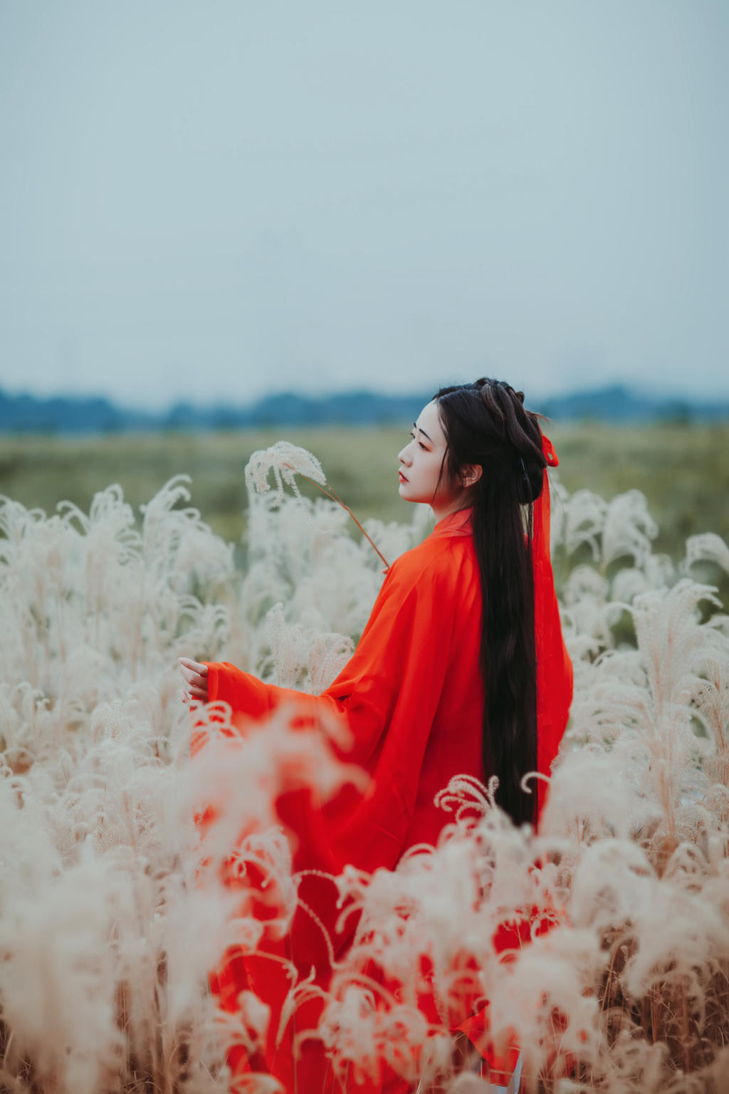 芦苇中的红衣美女美艳动人图片