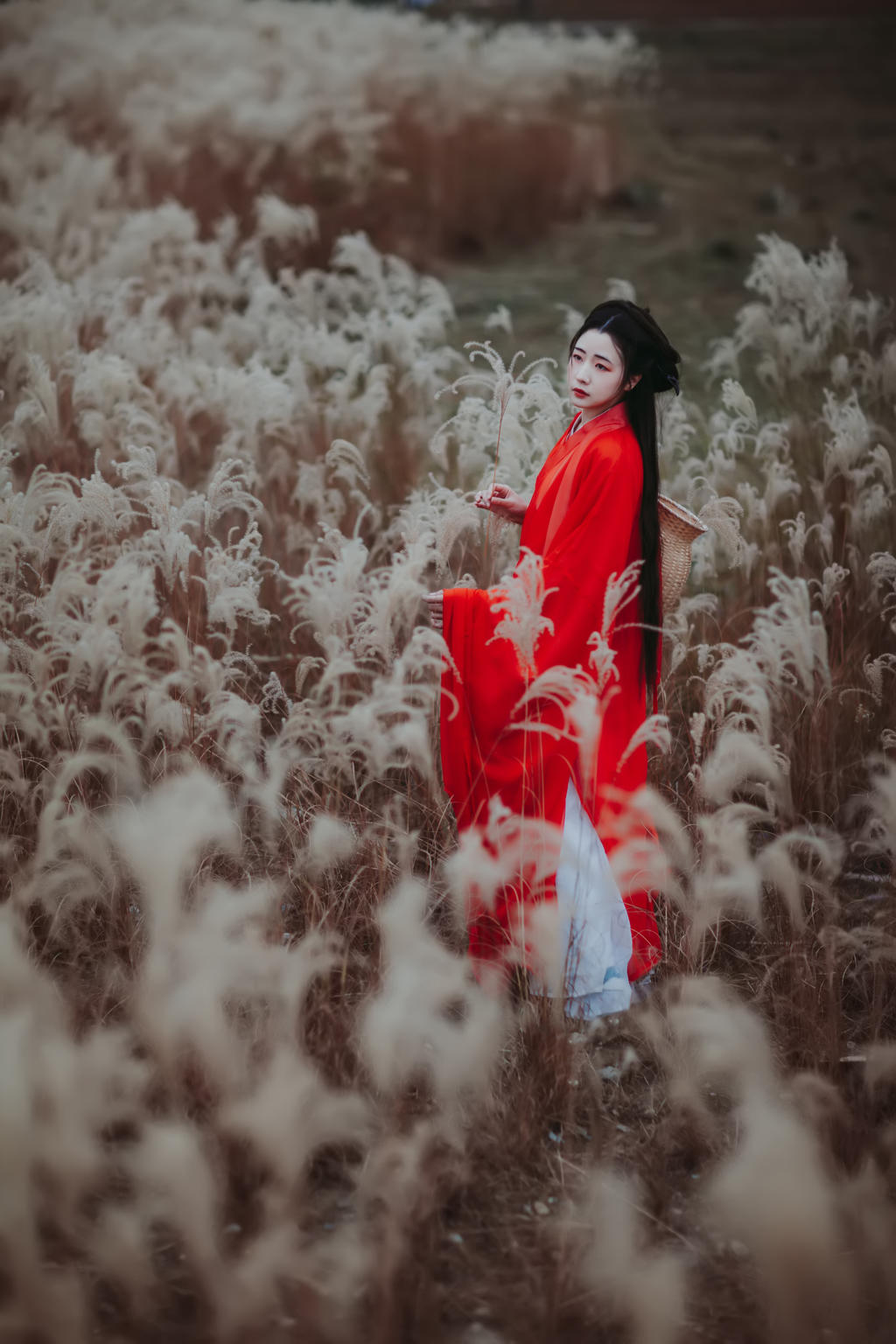 芦苇中的红衣美女美艳动人图片