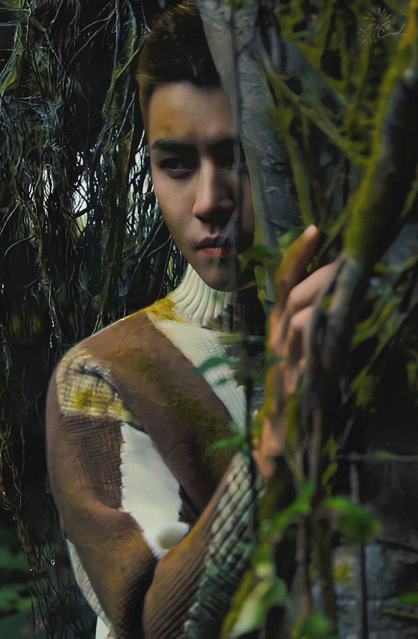 任豪旷野之森艺术大片每一帧都帅炸了