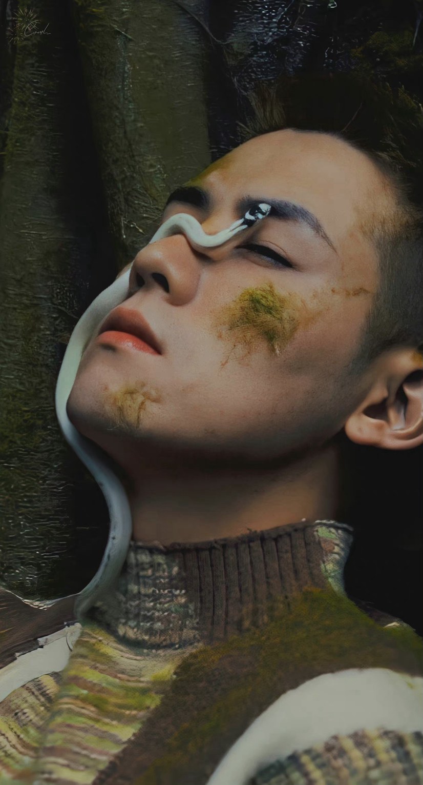 任豪旷野之森艺术大片每一帧都帅炸了