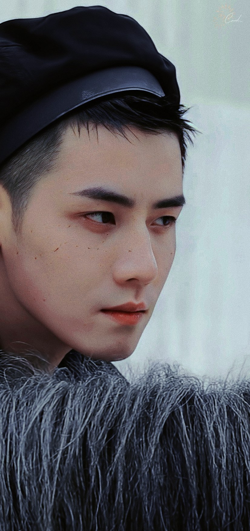 任豪旷野之森艺术大片每一帧都帅炸了