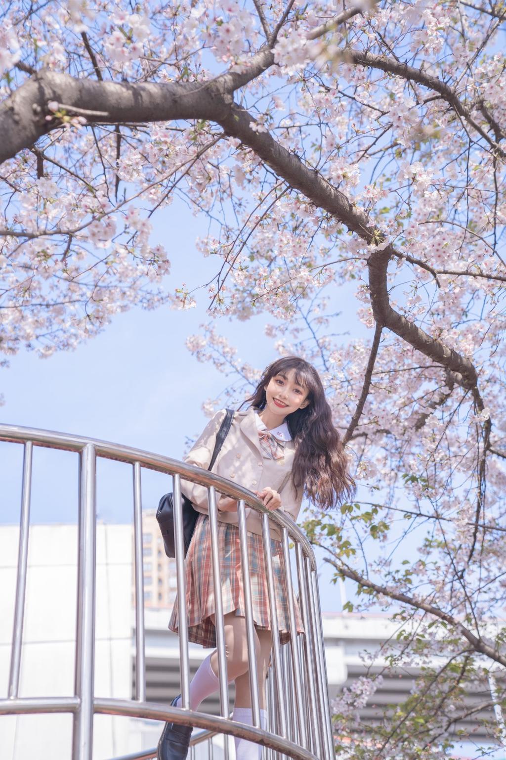 樱花树下制服美女白丝美腿图片