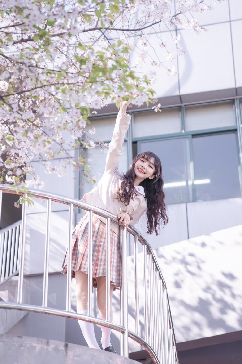 樱花树下制服美女白丝美腿图片