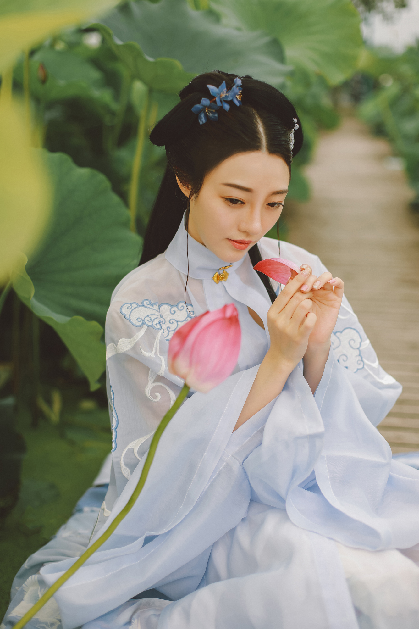 夏日荷塘美女淡色古装摄影图