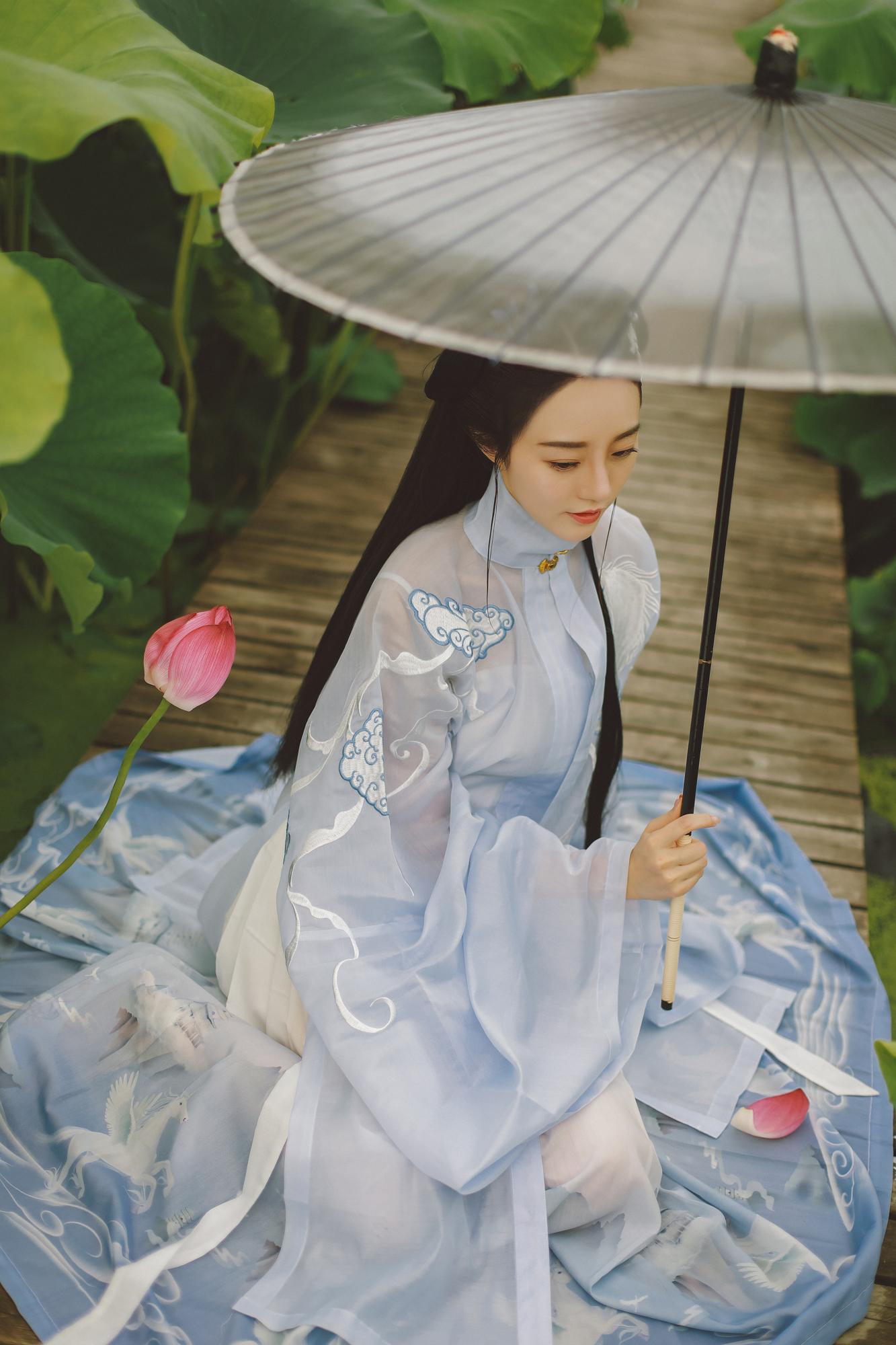 夏日荷塘美女淡色古装摄影图