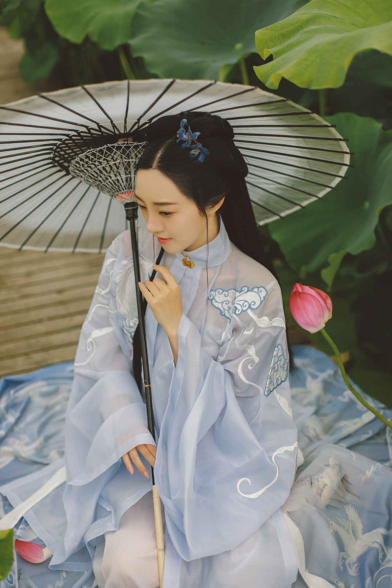 夏日荷塘美女淡色古装摄影图