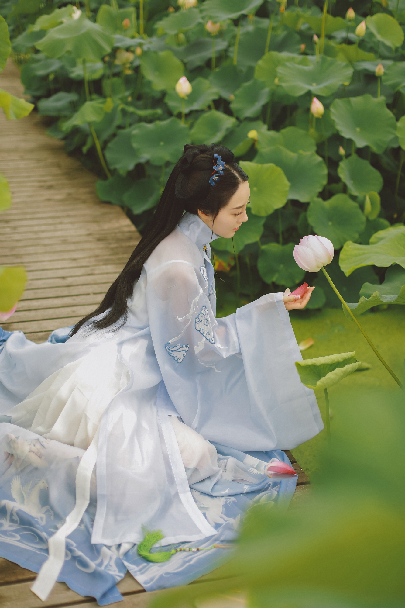 夏日荷塘美女淡色古装摄影图