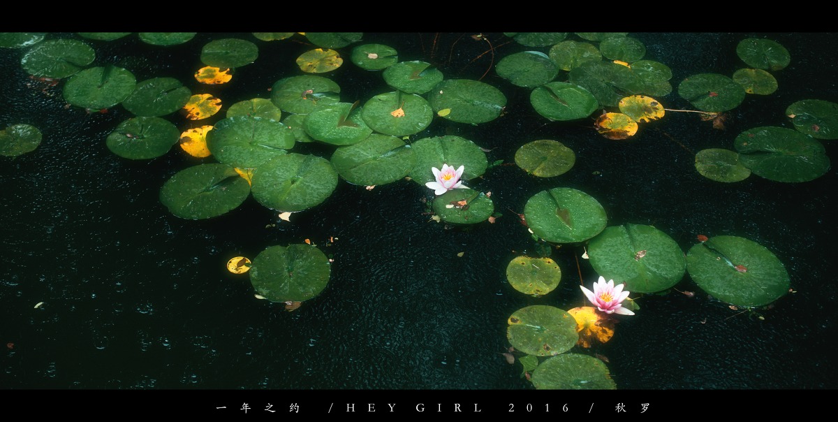 唯美如画的美女古装写真图片