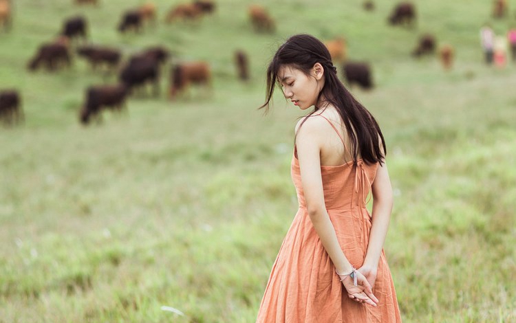 美女吊带内衣深沟美乳诱惑美臀性感写真