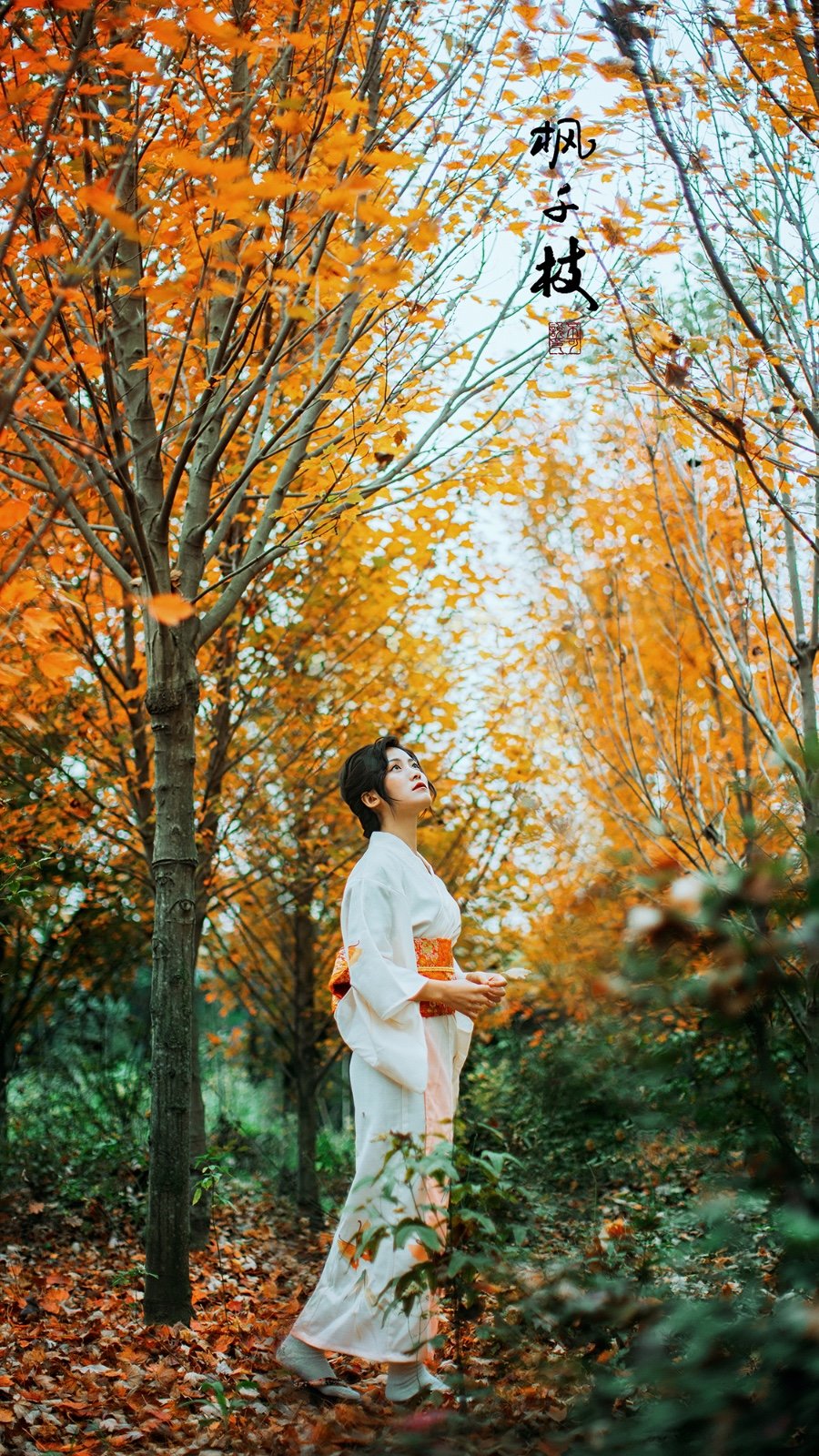 气质优雅迷人的大家闺秀森系阳光唯美养眼写真摄影图片