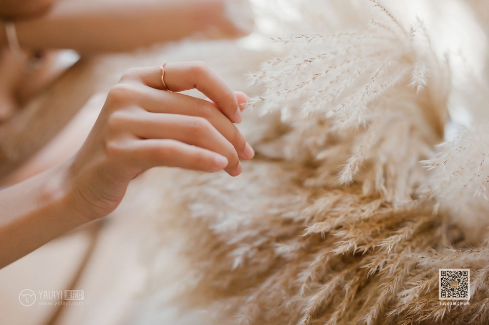 肤白貌美的大长腿妹子白色蕾丝内内午后休闲时光美女人体写真