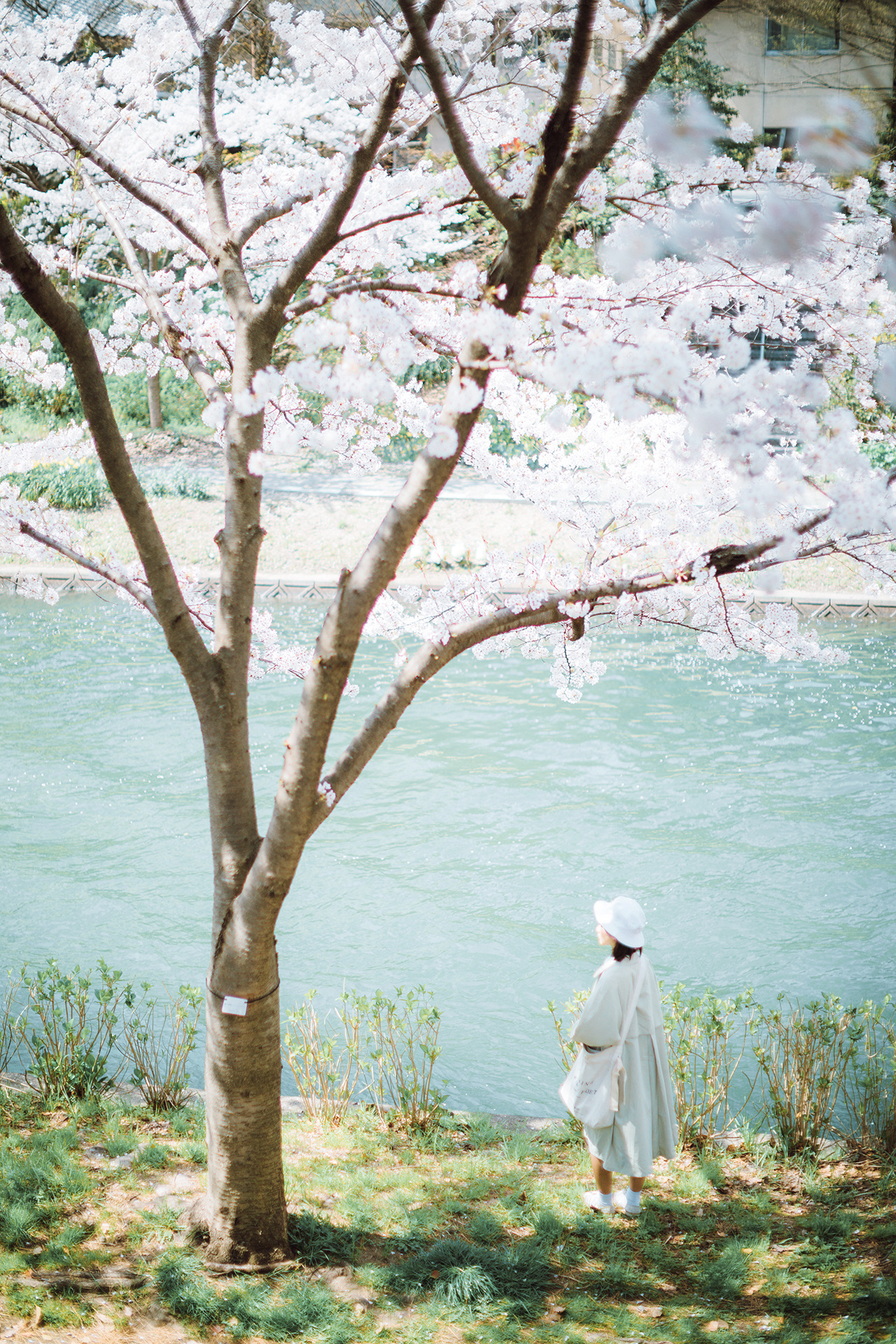 火车站清纯阳光少女写真图片