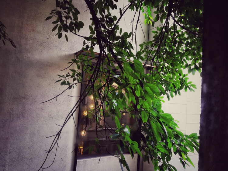 麻花辫日本制服萝莉日常生活照黑丝美女鉴赏写真图片