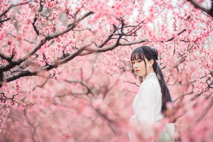 吹箫古装美女唯美朦胧梦幻写真图片