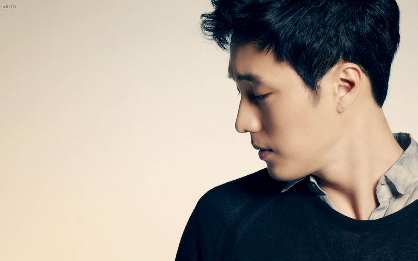 苏志燮高清桌面壁纸 炫酷有型