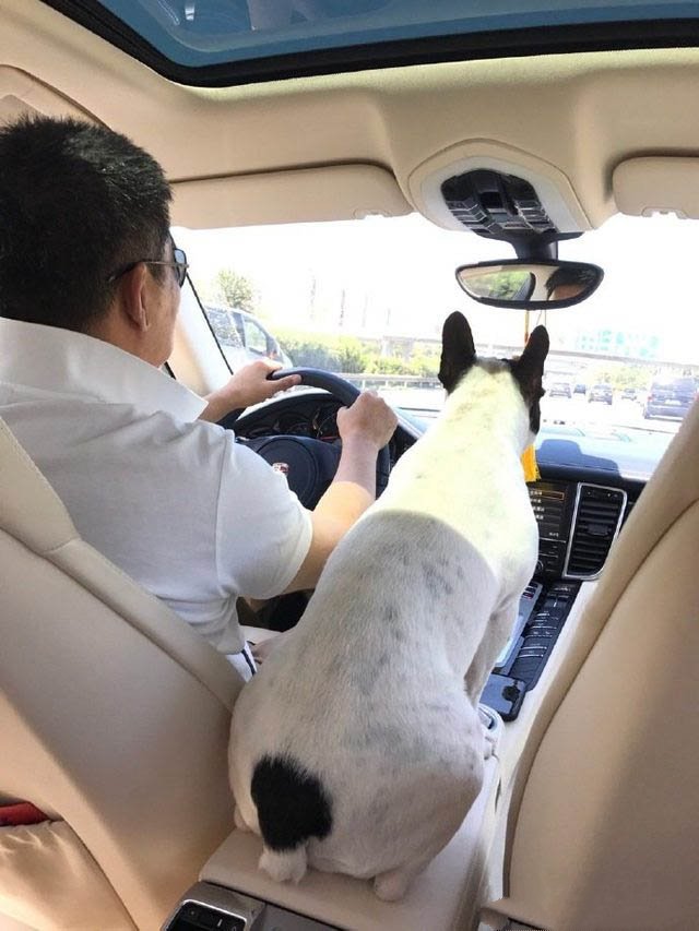 孙淳花甲现照 身材健硕频现笑容