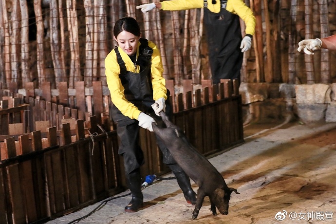赵丽颖抓猪花絮 抓个猪都这么美