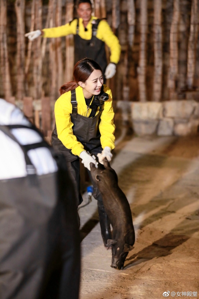 赵丽颖抓猪花絮 抓个猪都这么美