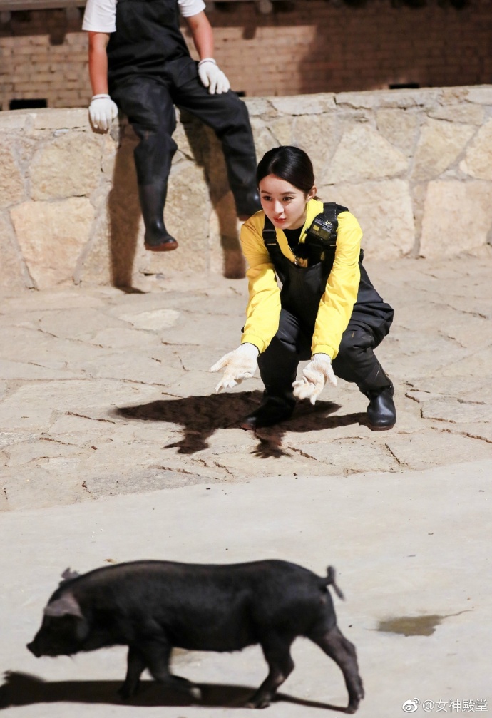 赵丽颖抓猪花絮 抓个猪都这么美