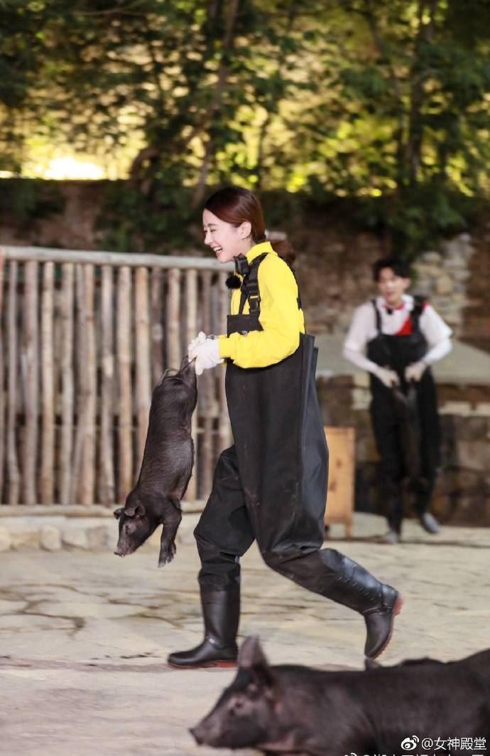 赵丽颖抓猪花絮 抓个猪都这么美