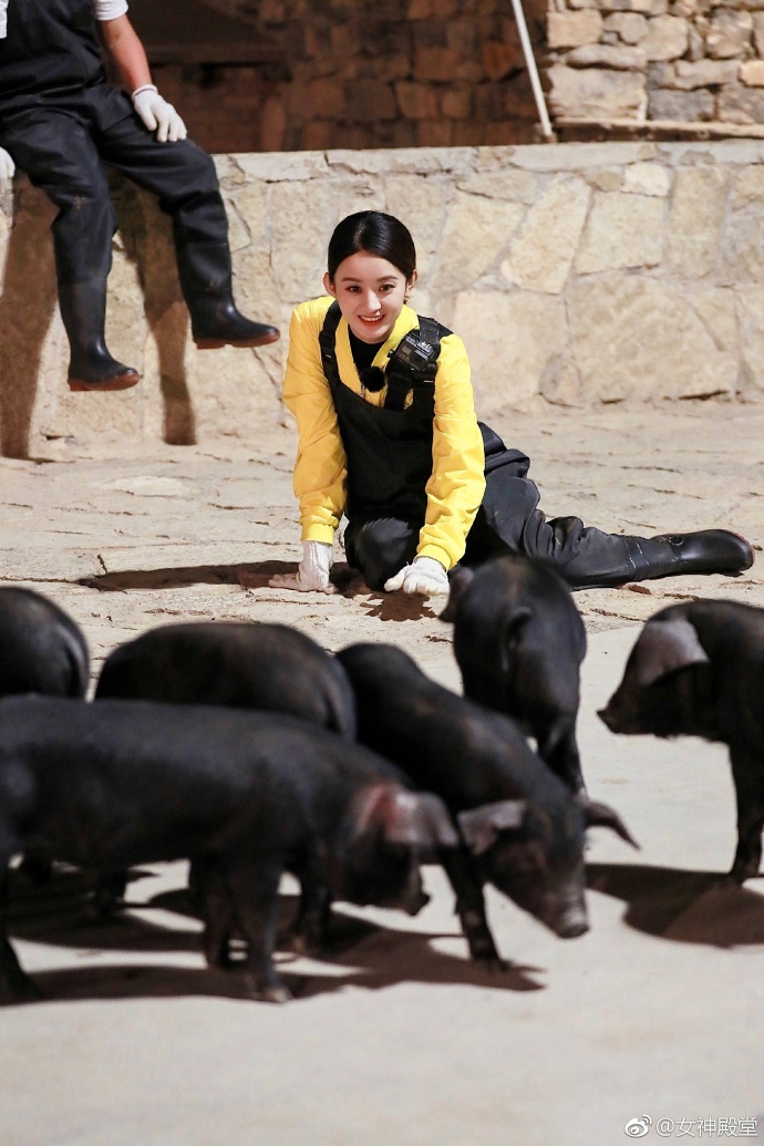 赵丽颖抓猪花絮 抓个猪都这么美