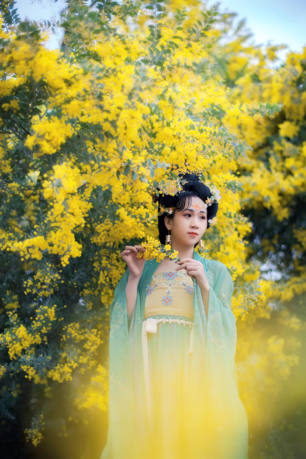 合欢花下汉服美女唯美古风摄影