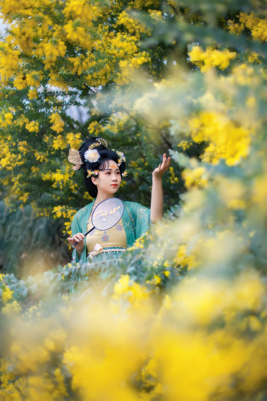 合欢花下汉服美女唯美古风摄影