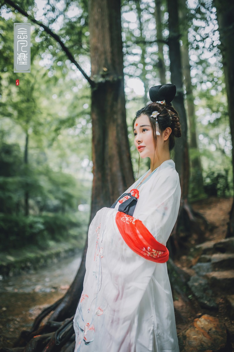 眉心一点红的盘发古装长裙美女