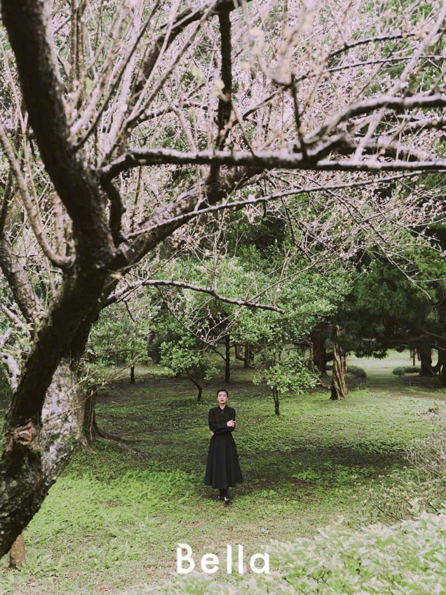 贾静雯油头造型尽显干练利落写真