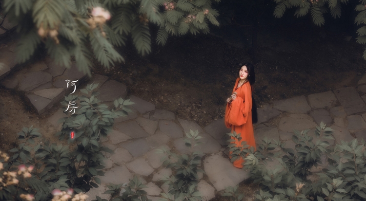 红衣古装双马尾美女大小姐优雅花海香艳写真图片